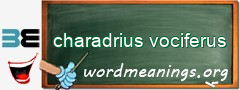 WordMeaning blackboard for charadrius vociferus